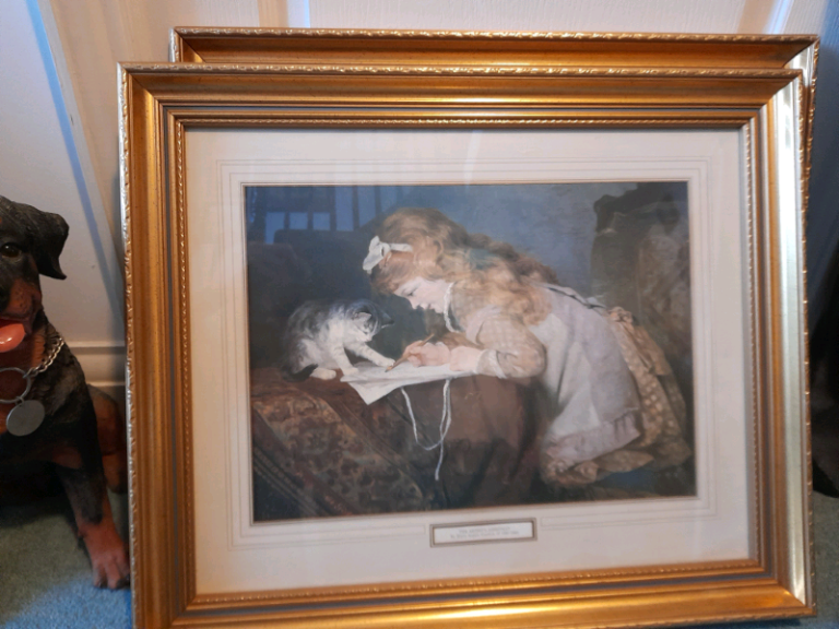 Hanging Framed  Picture 