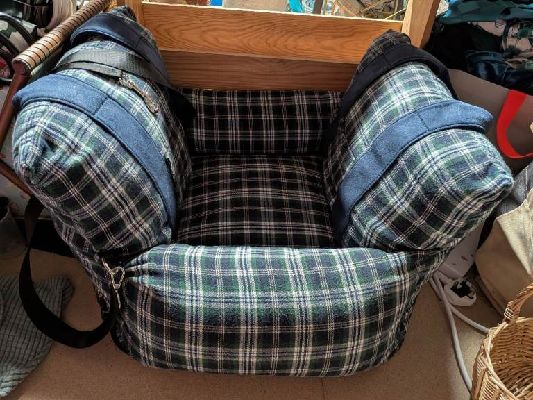 Dog car seat 