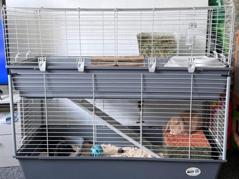 Two double tier rabbit cages 