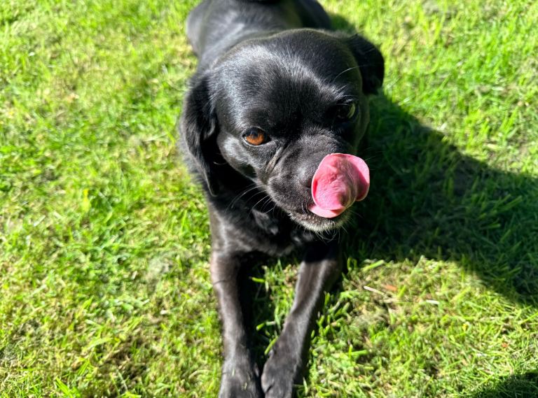 New home best for her!