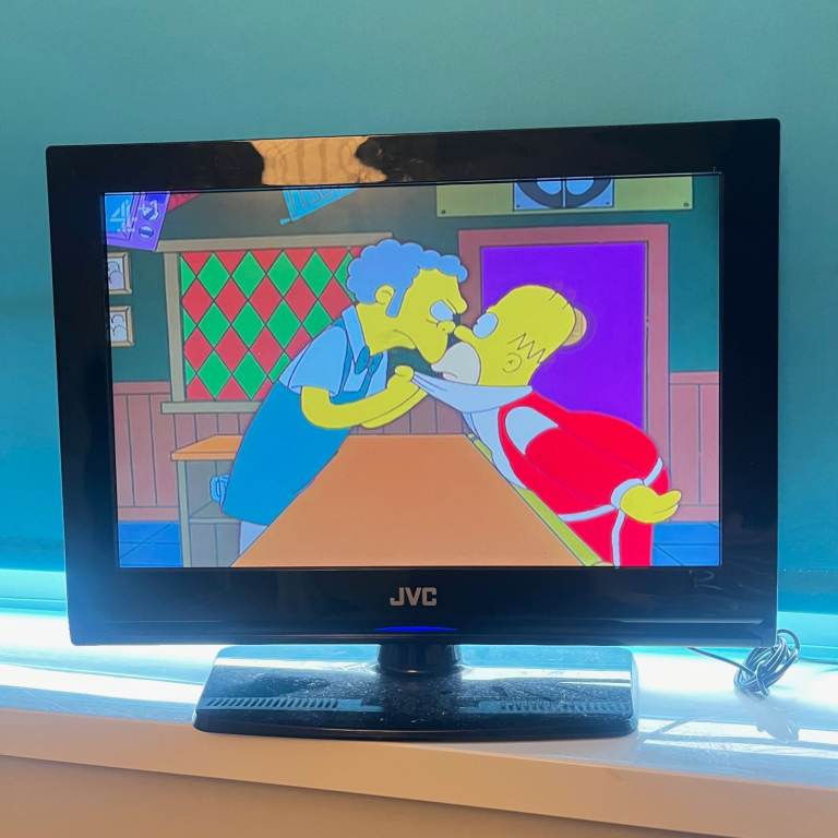 JVC 19" Widescreen TV - 12/230-VOLT