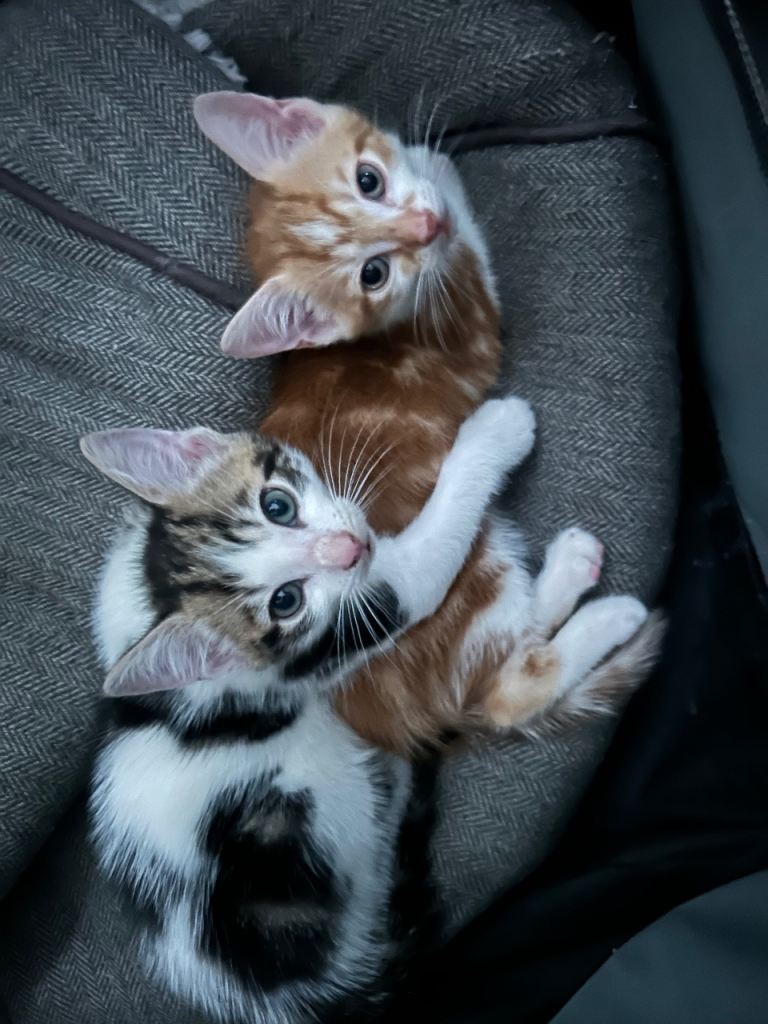 Two boys ready to leave 