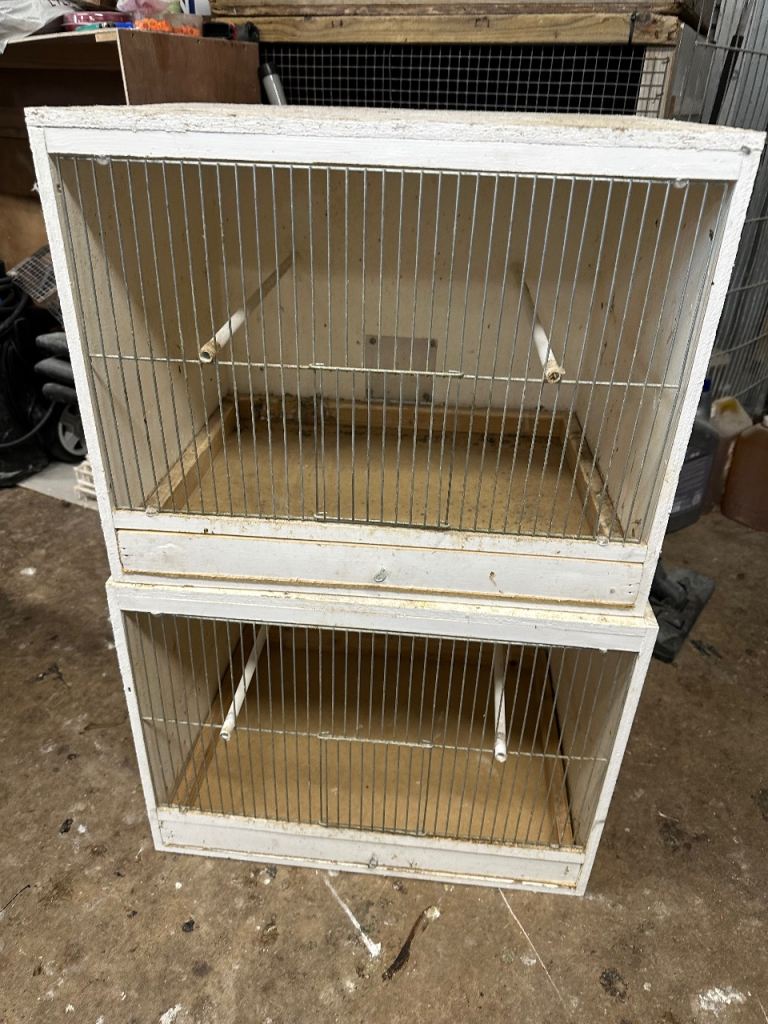 2 bird cages available 