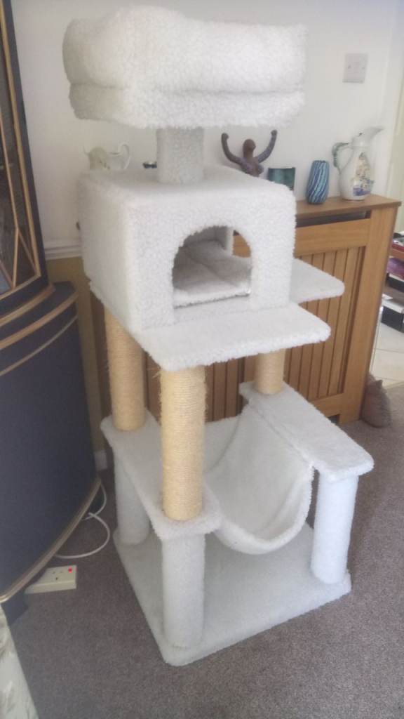 Cat stand / scratching post