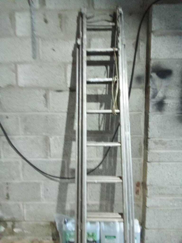 image for Extending Ladder 