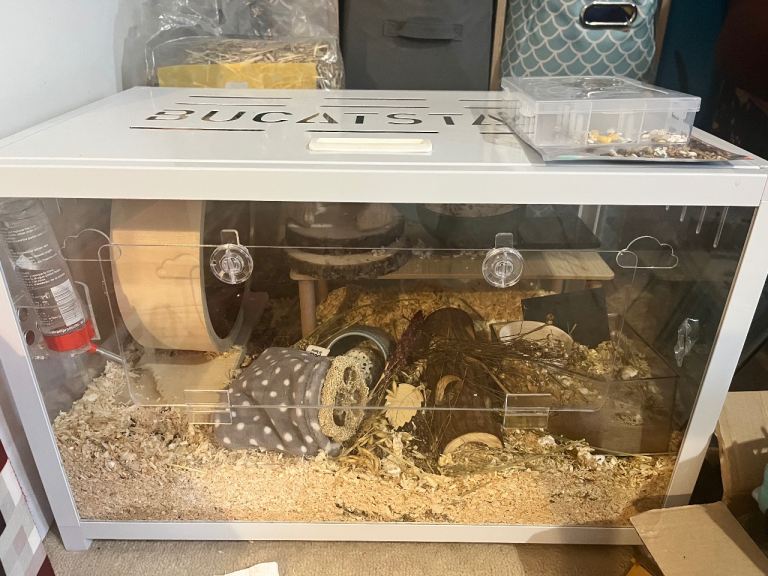Cage for sale
