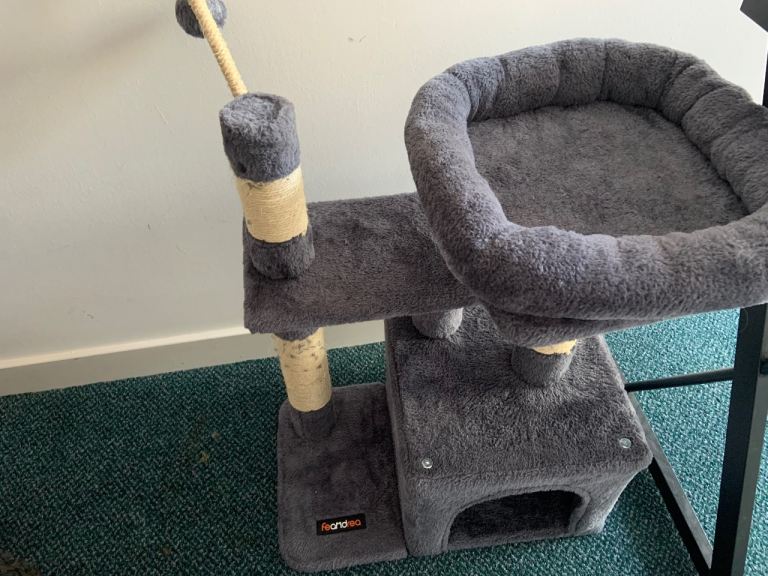 Cat Tree, Cat Toys and Scratching Post