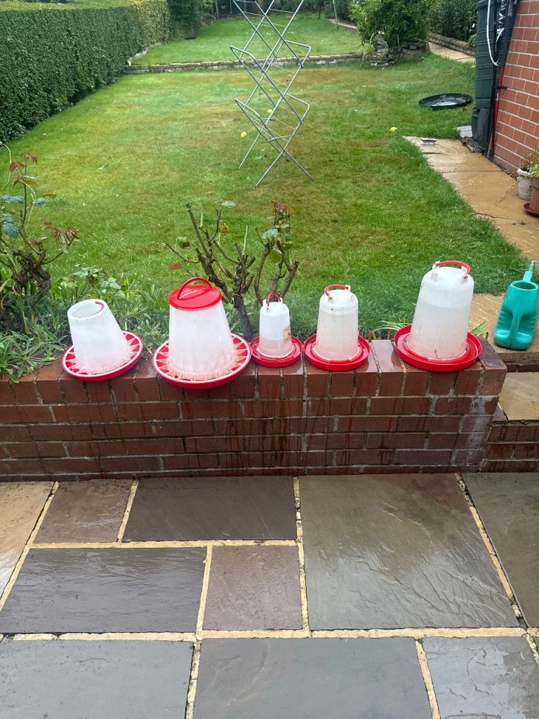 5 Chicken feeders and water dispenses 