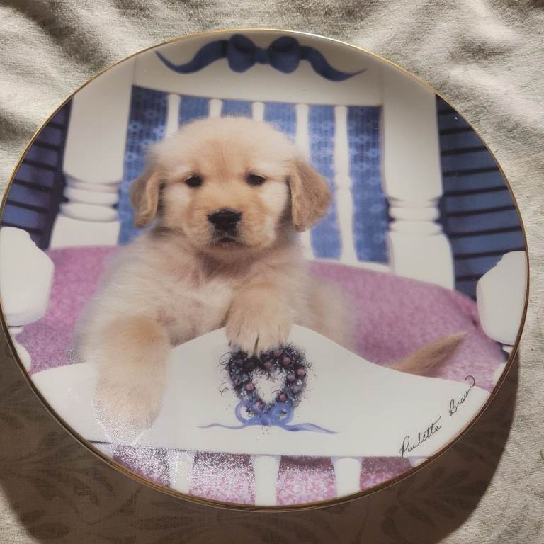 Time for Bed Golden Puppy Portraits Collector Plate  (J5)