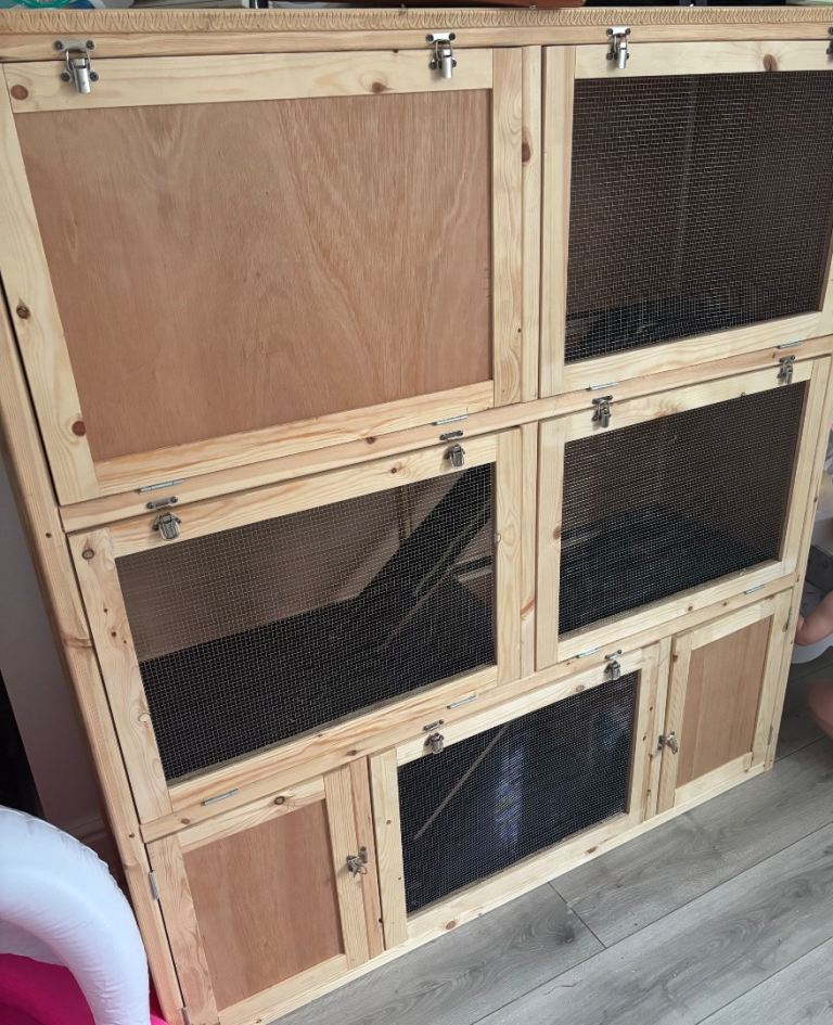 Bespoke Rabbit hutch 