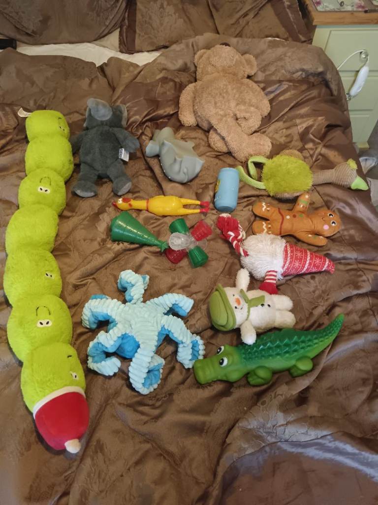 Dog Toys x 14. Hard and Soft. Great Condition 