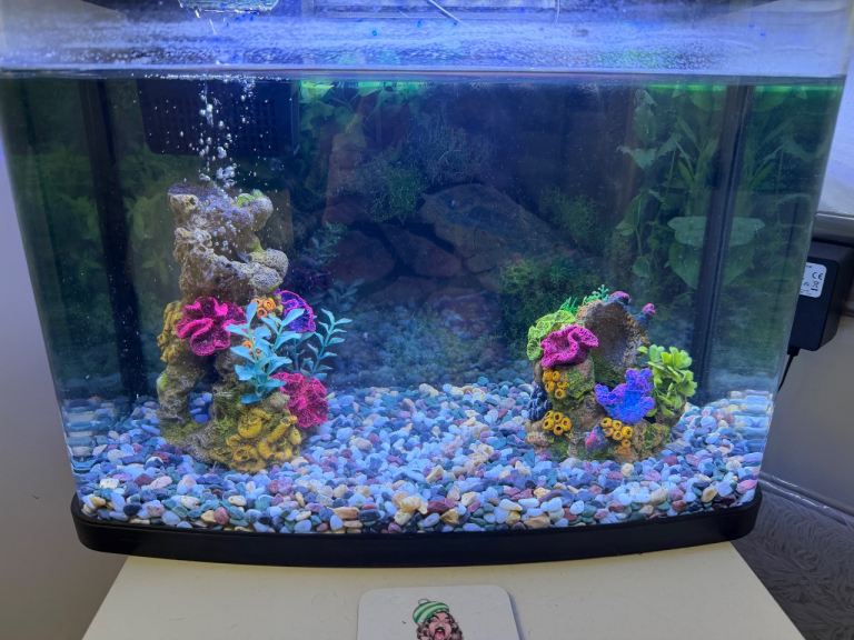 Small Fish Tank with Built-in Filter and LED Lights