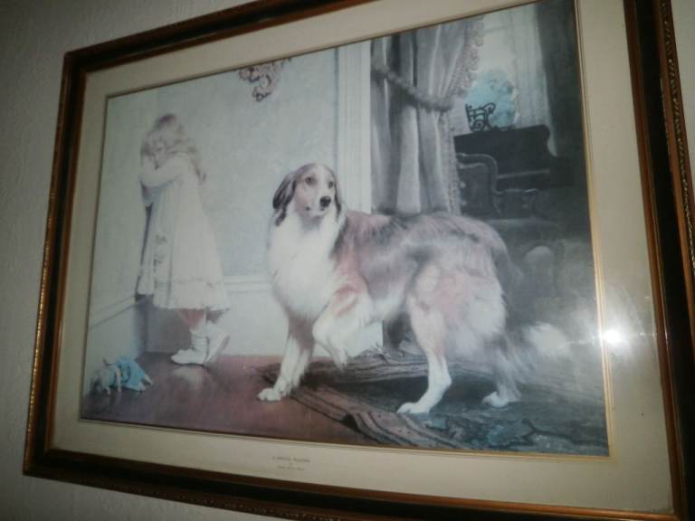 A Special Pleader large framed vintage print of girl with collie dog