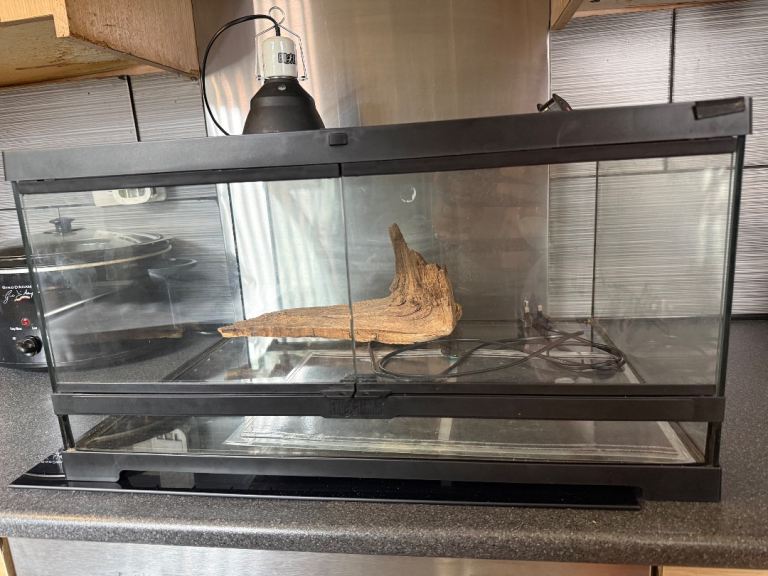 Exo Terra Terrarium with accessories 