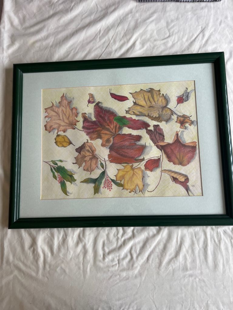 Framed Original Picture 