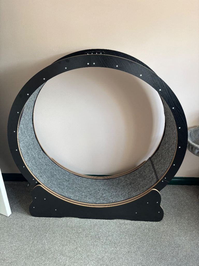 Cat Exercise Wheel, X-Large Treadmill Wheel for Cats, 43.3 inch