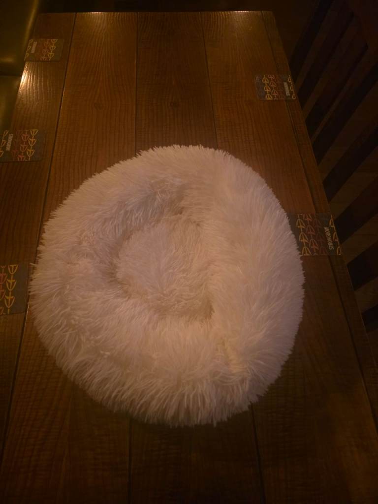 BUNDLE OF 10 PET BEDS
