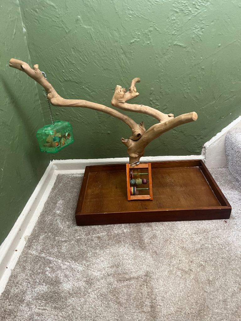 Natural Wood Bird Perches & Accessories – Large Parrot / Bird Tree
