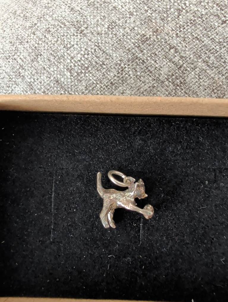 Silver charm 