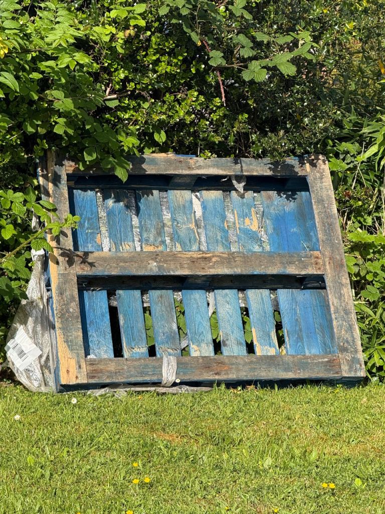 Free Heavy Duty Pallet 
