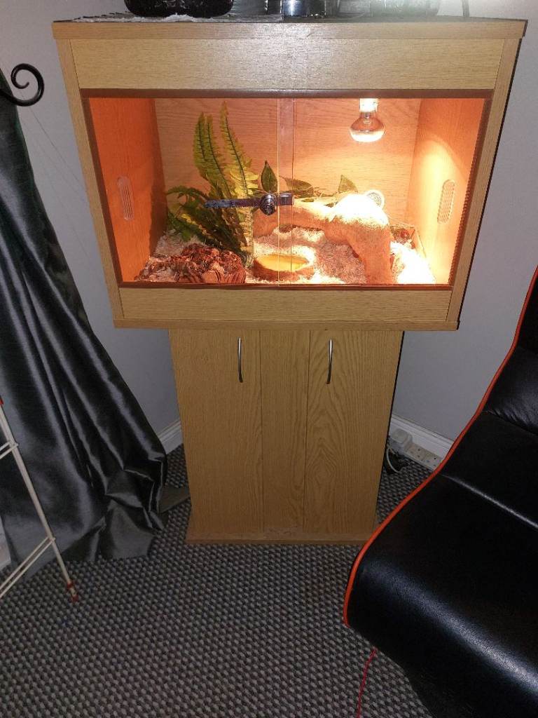 2ft Vivarium 