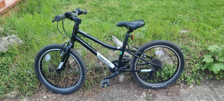 Kids Bike 20 inches (Pinnacle Ash 20" 7 speed Kids Bike)