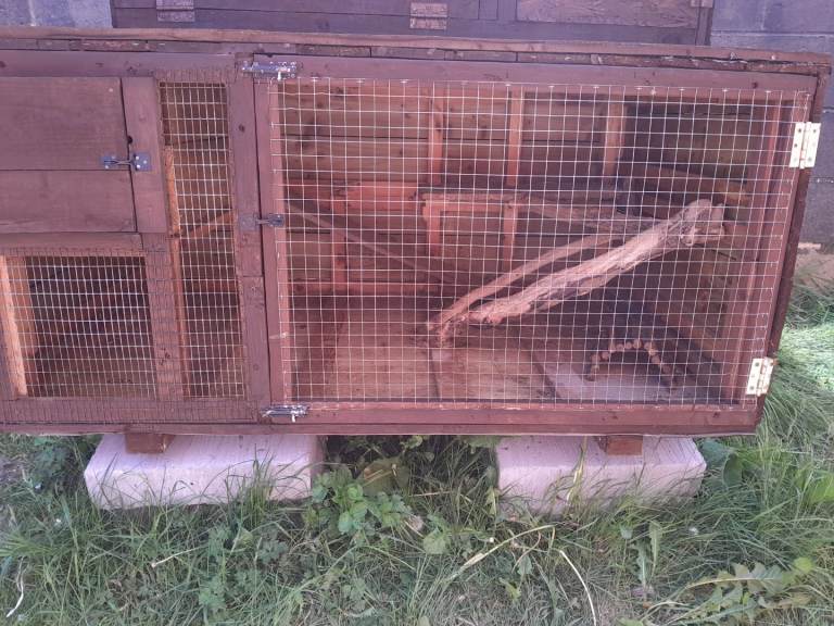 Animal hutch 