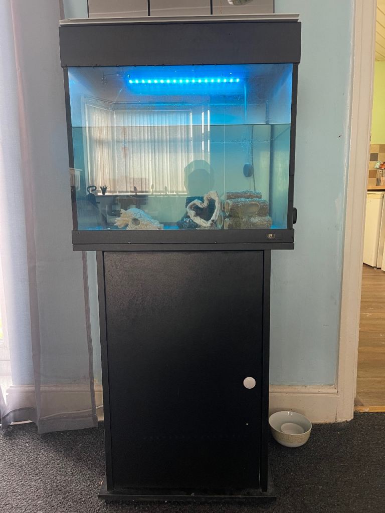 Juwel 90L Cube Fish Tank Aquarium Full Setup