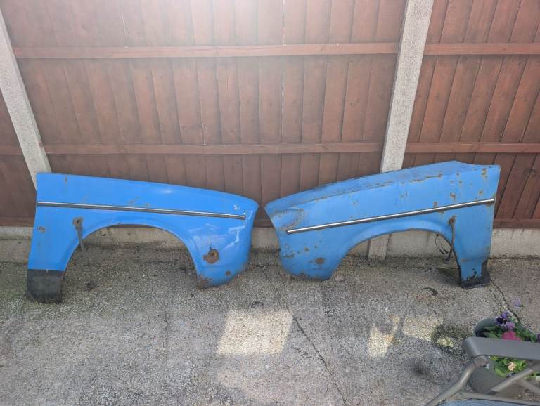 Blue Morris Ital wings