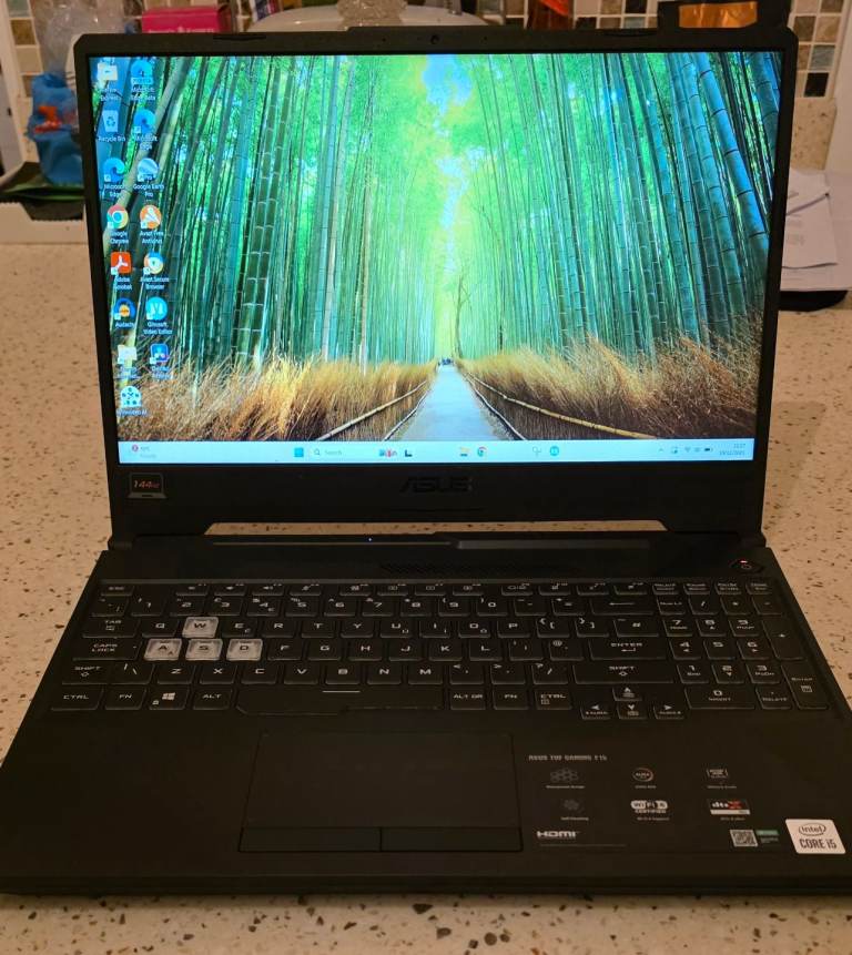 Asus TUF Gaming F15 laptop Windows 11 Immaculate 
