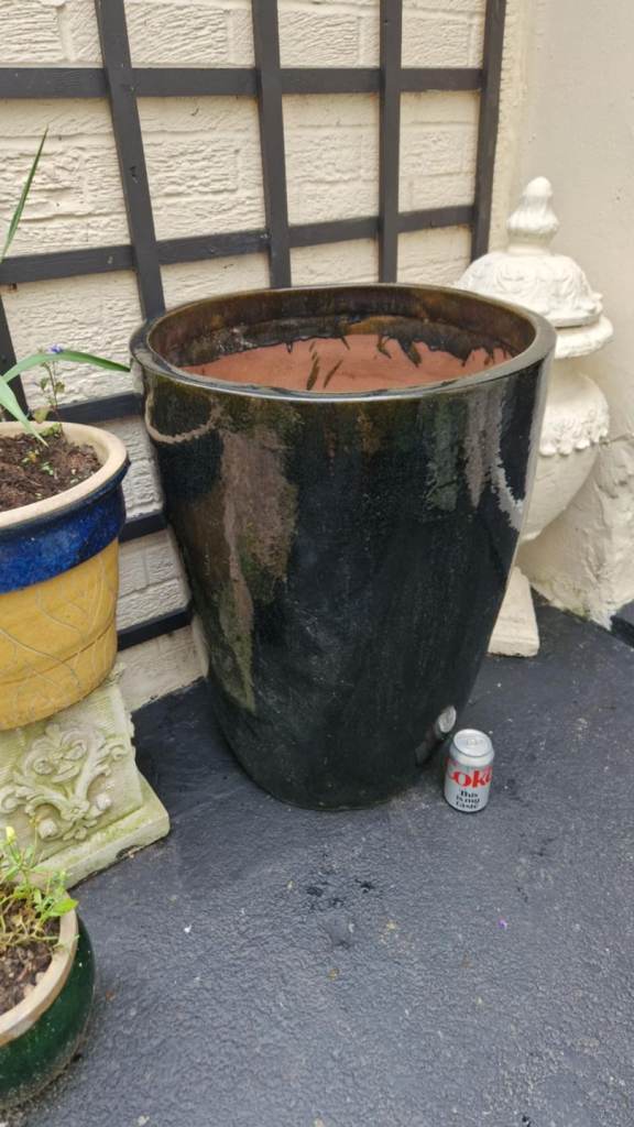 Huge Japanese salt glazed ceramic garden plant pot  