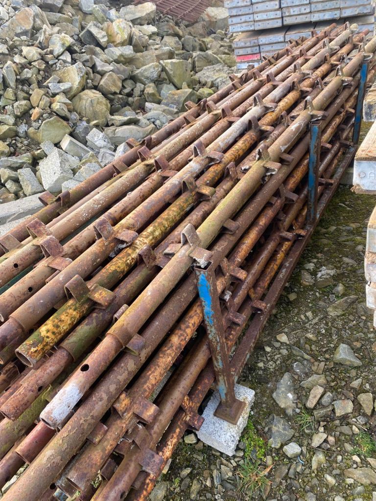 Scaffold/Scaffolding
