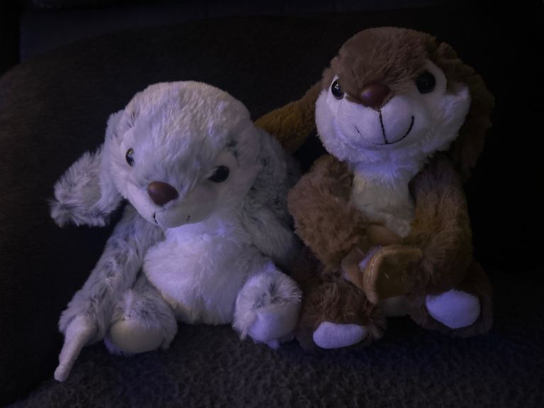 A pair of microbeanie rabbit teddys
