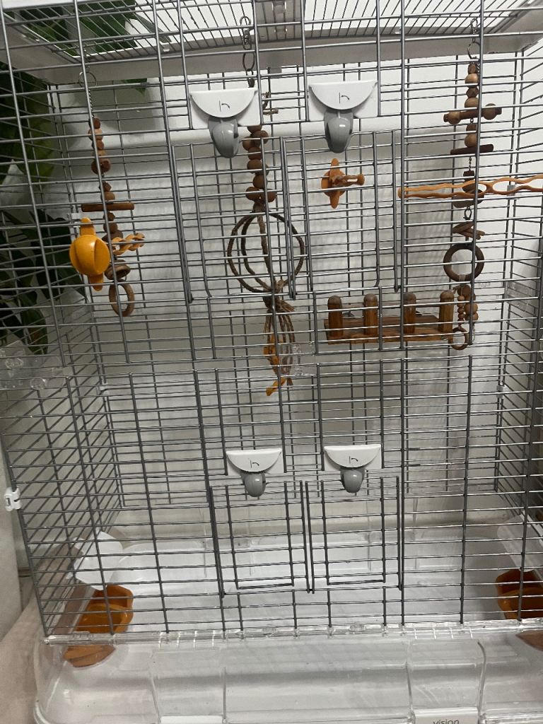 Vision bird cage 
