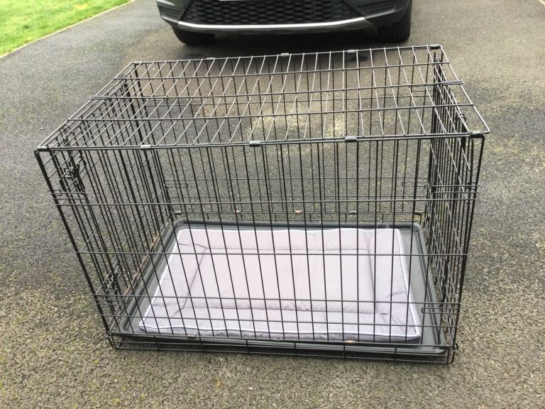 Dog cage 