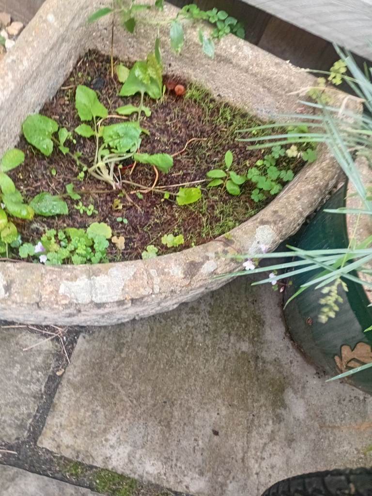 Stone Garden Planter - Good Condition