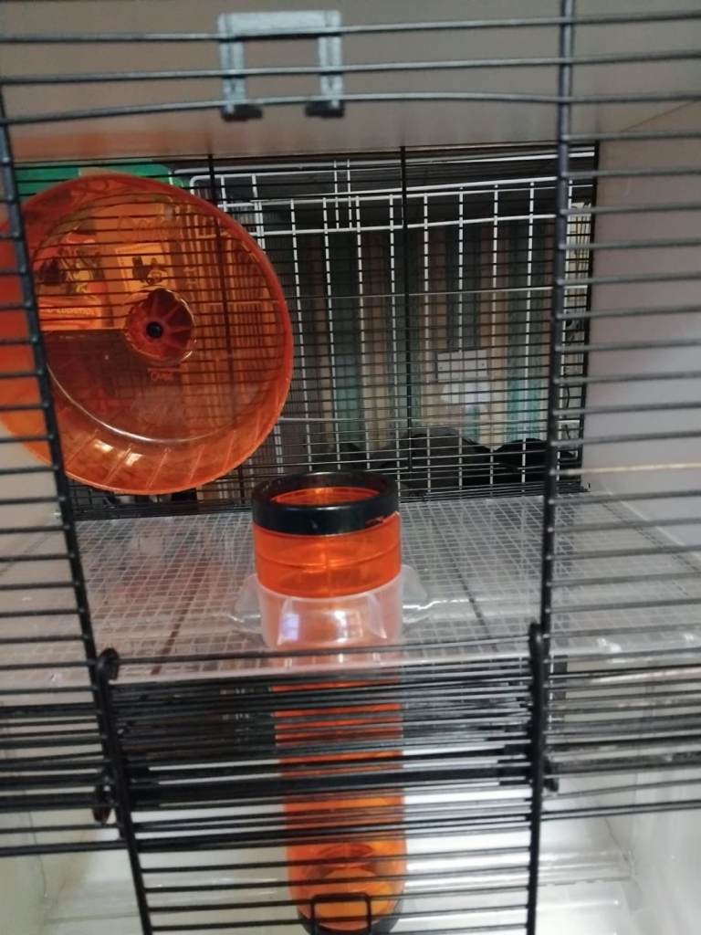 Gerbil cage