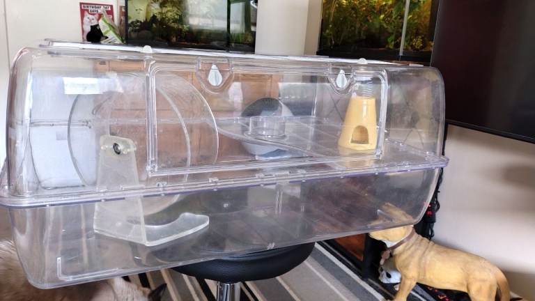 Hamster cage