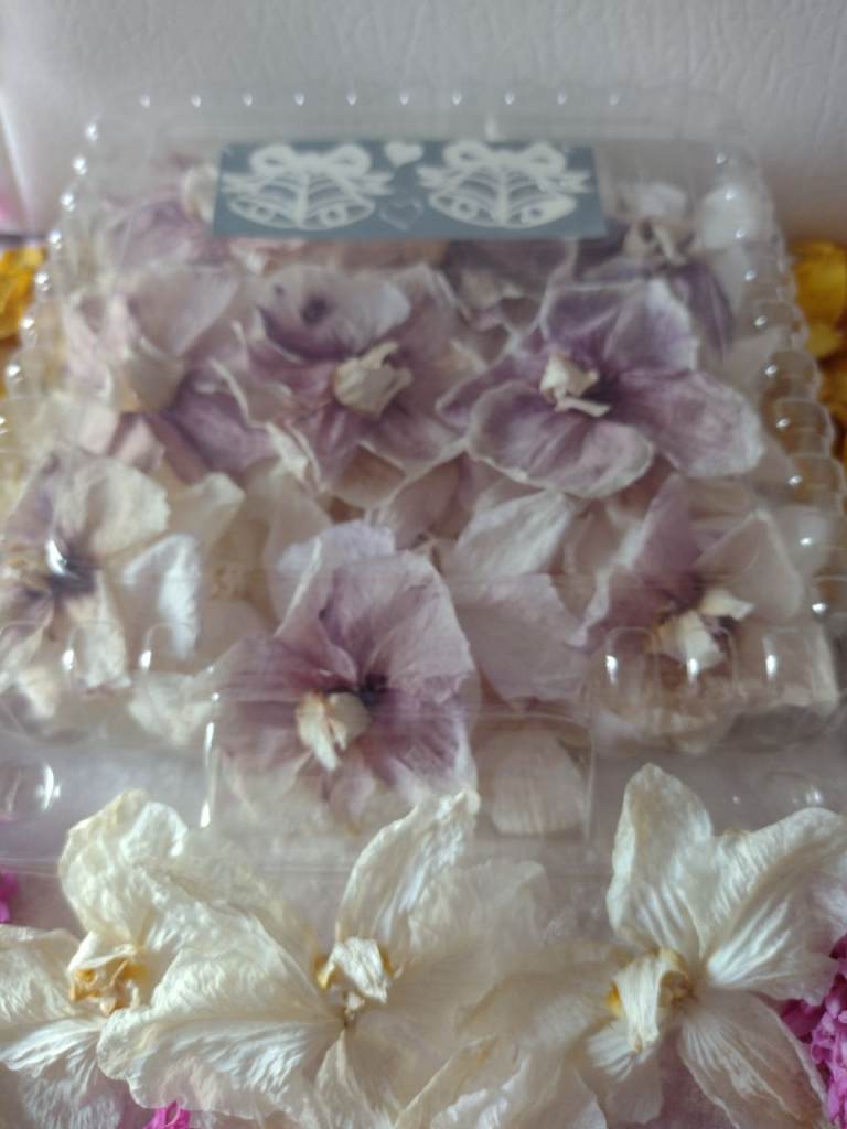 Natural Lilac/White Orchids for Wedding Tables or Flower Girls. See the photos/details below.