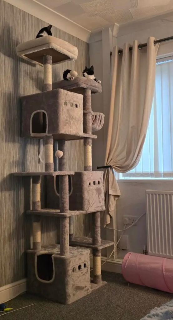 Massive xl cat tree scratch post kitten bed