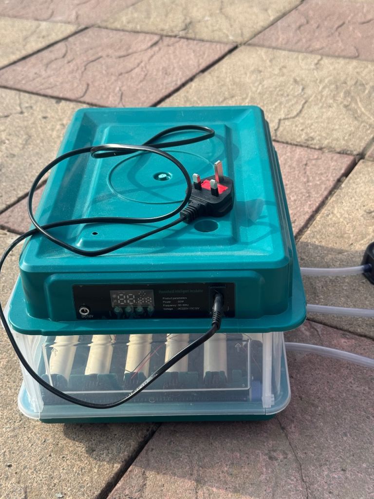 Incubator 