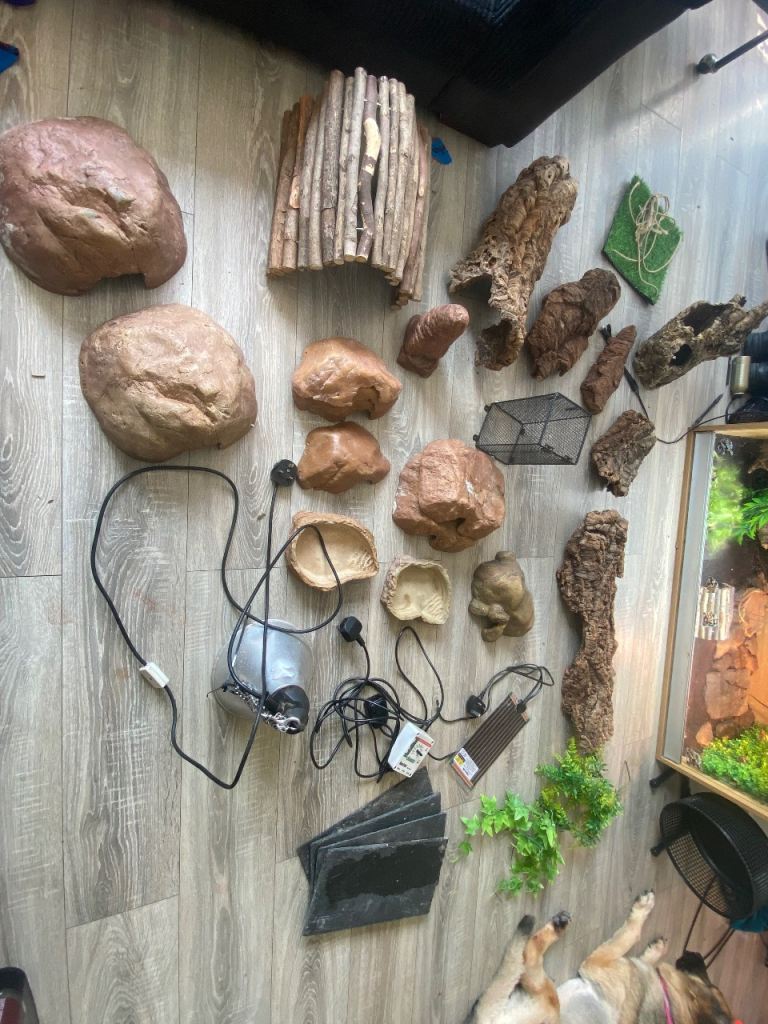 Job lot of reptile stuff