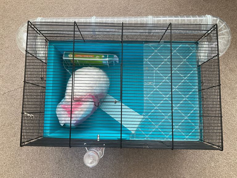 Large pets at home hamster cage with tunnel, bedding and bottle