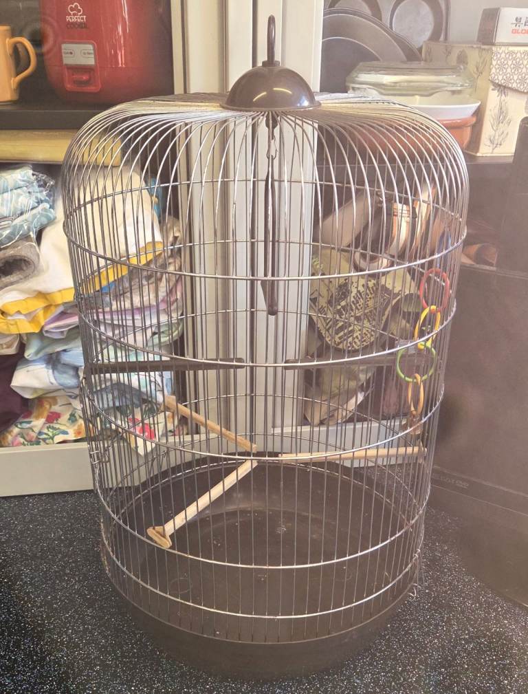 Bird Cage