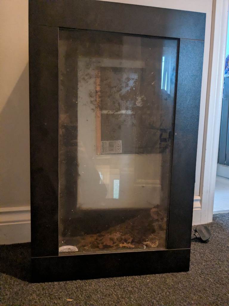 Corn snake enclosure 