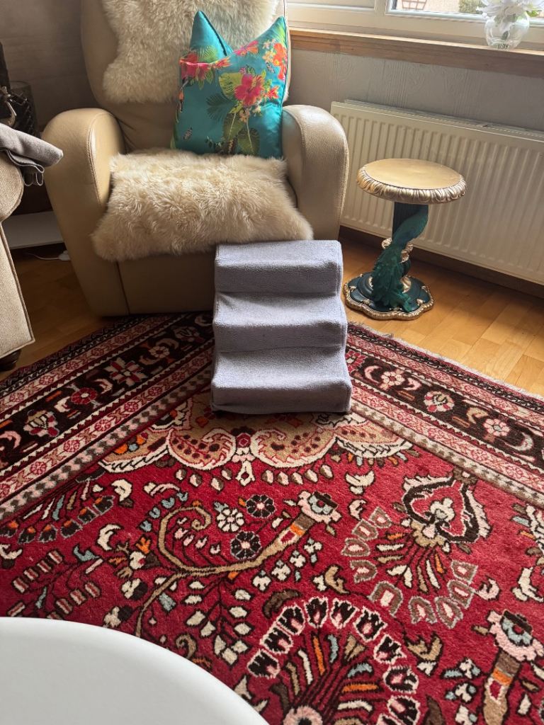 Fleece covered dog steps for small dog to get onto sofa or chair 