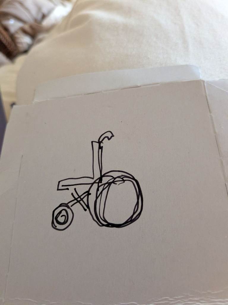 Wanted electric push wheel chair 