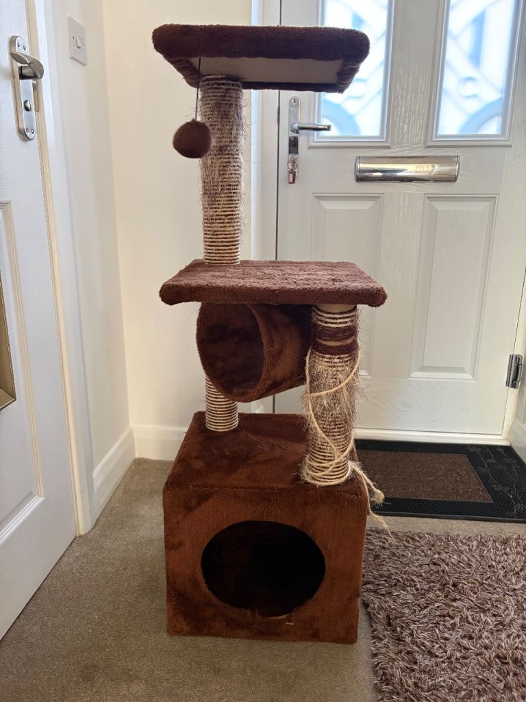 Cat scratch post (used)