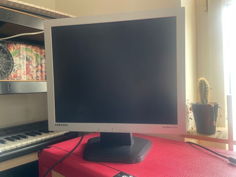 Samsung SyncMaster 193v Computer Monitor