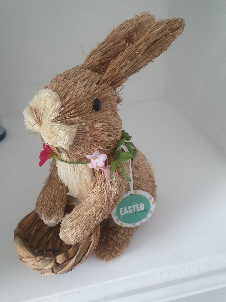 Easter bunny rabbit 🐰🐇